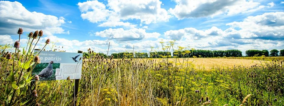 Natuurgebied in Leudal